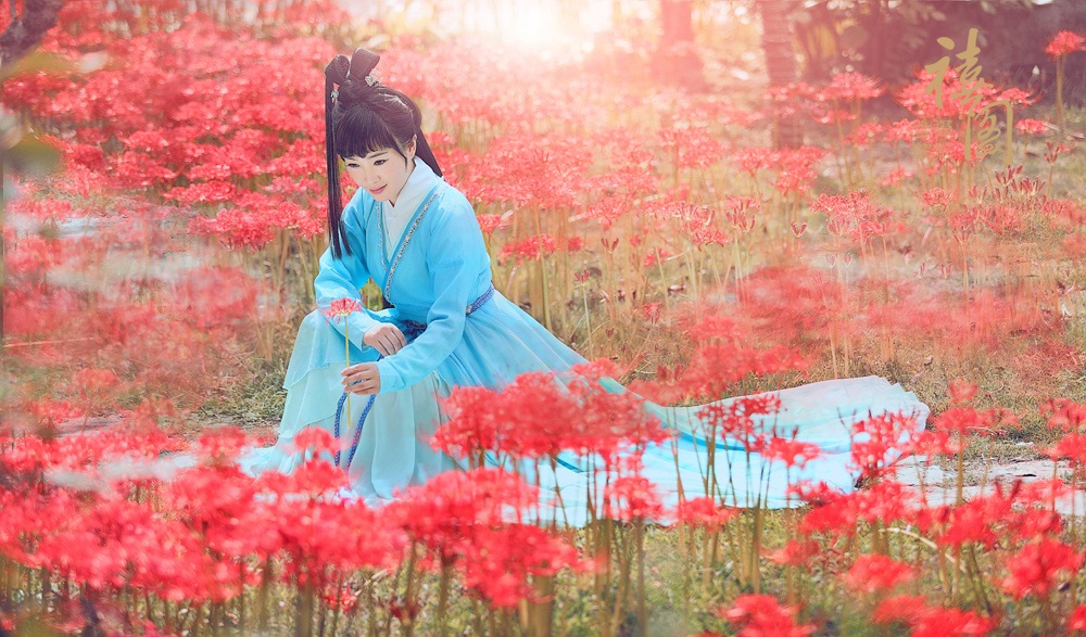 彼岸花开开彼岸,奈何桥前可奈何 - 禧阁摄影 - 图