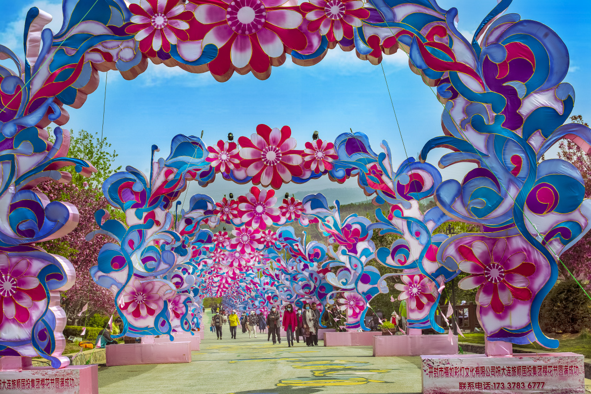 大连旅顺2021国际樱花节