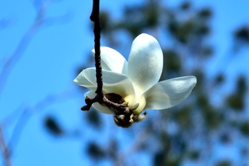 AAA_3894