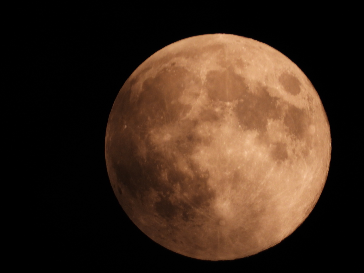 超级月亮尼康p1000