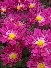 276B213D-A096-4388-A3A2-7E8E411B0218/L0/001