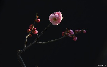 001