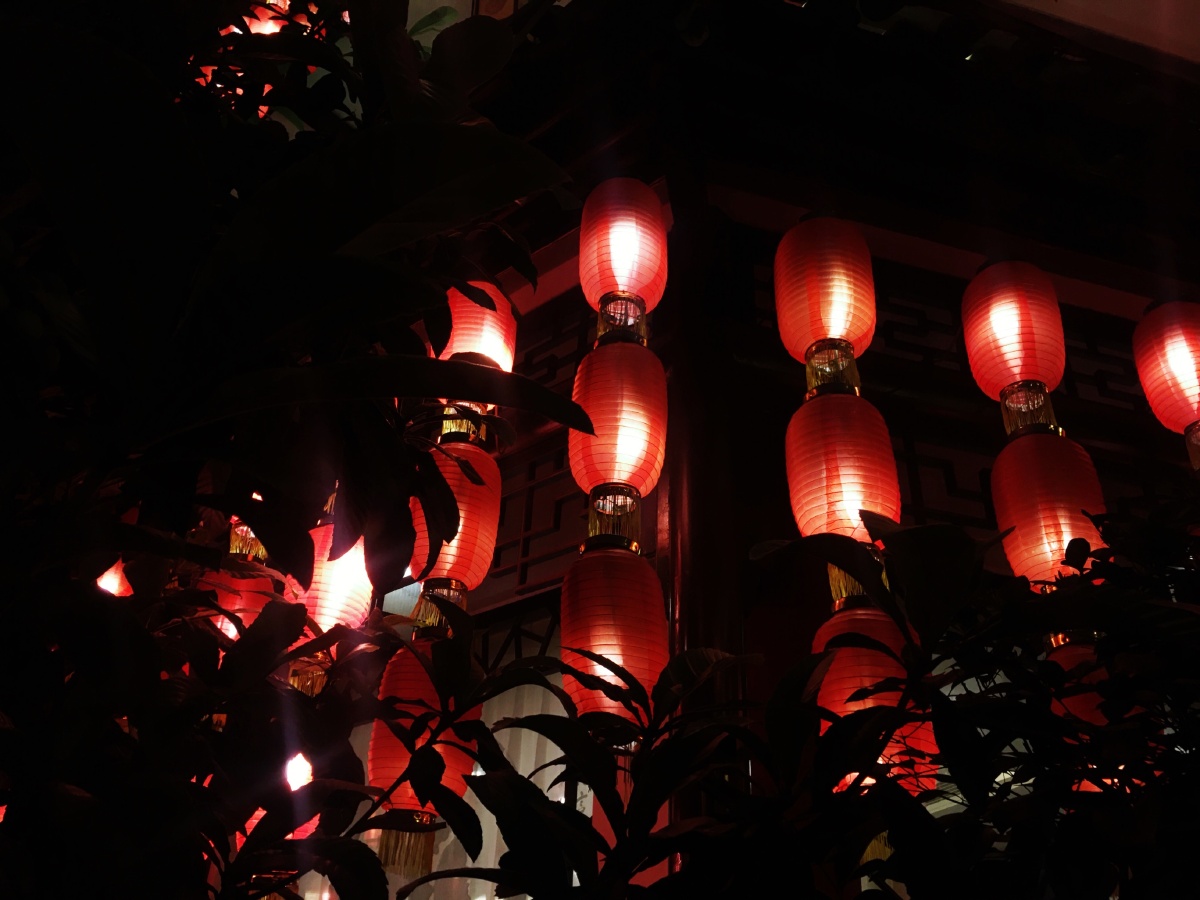 万家灯火没有一家是归处