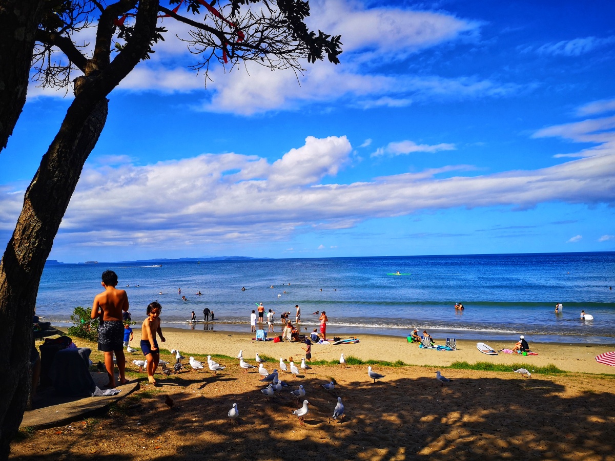 新西兰owera海滩海景沙滩聚会欢声笑语其乐融融