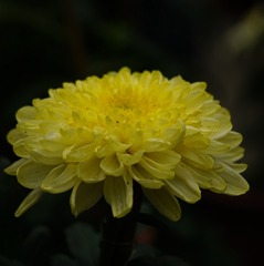 1202804