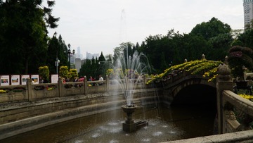 1203036