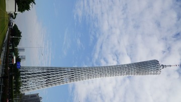 1203290