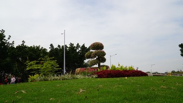 1203508