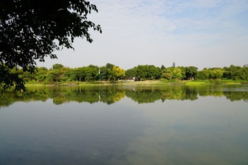 1266781