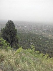 794548
