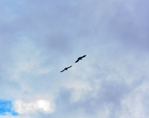274059