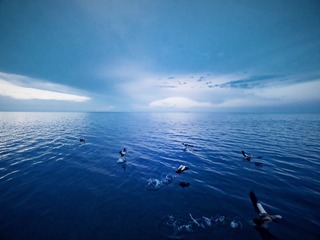 DJI_0078