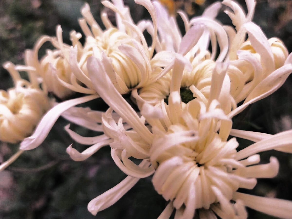 7分钟前 ·阅读37 crimasterlrtong 关注 点击右下