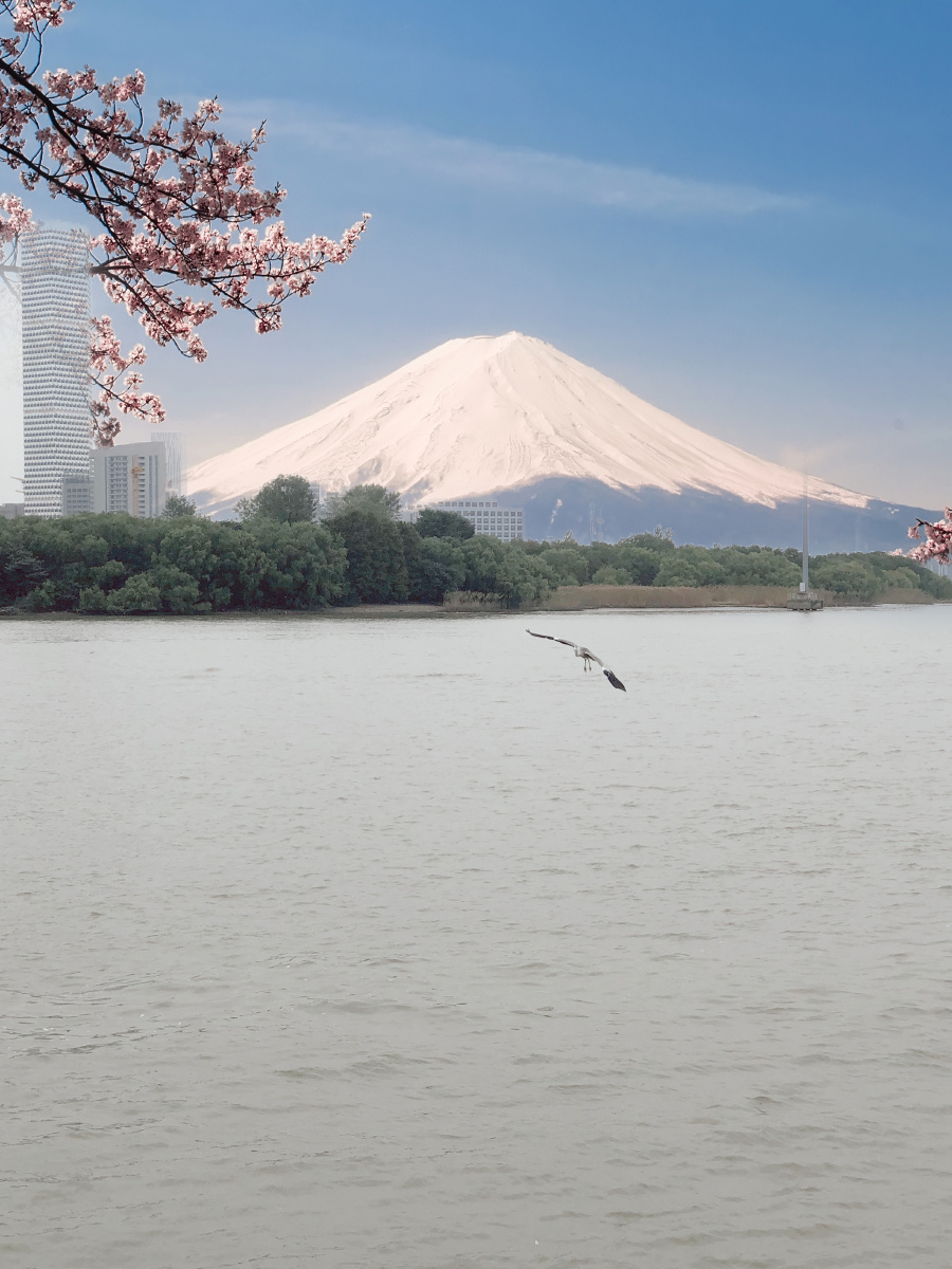 想去远方的山川想去海边看海鸥