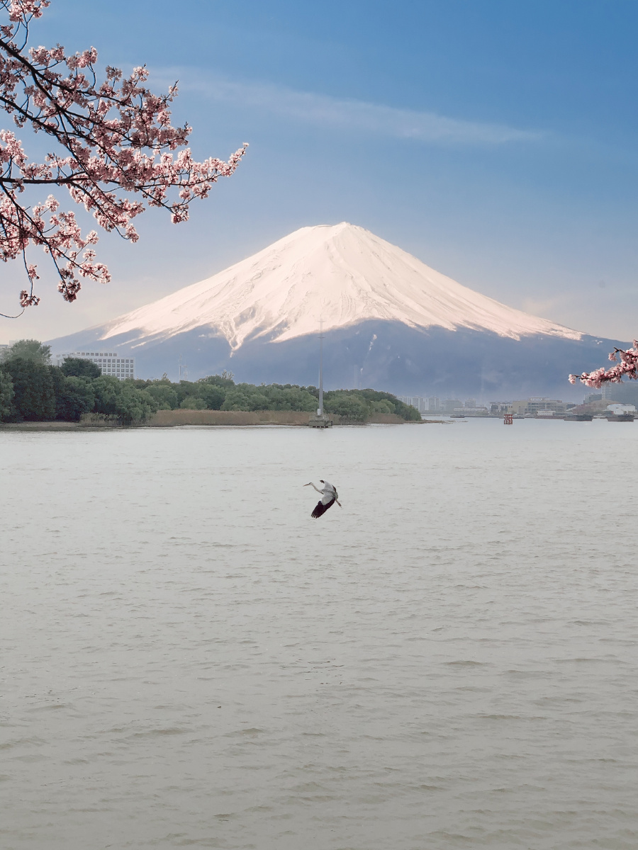 想去远方的山川想去海边看海鸥