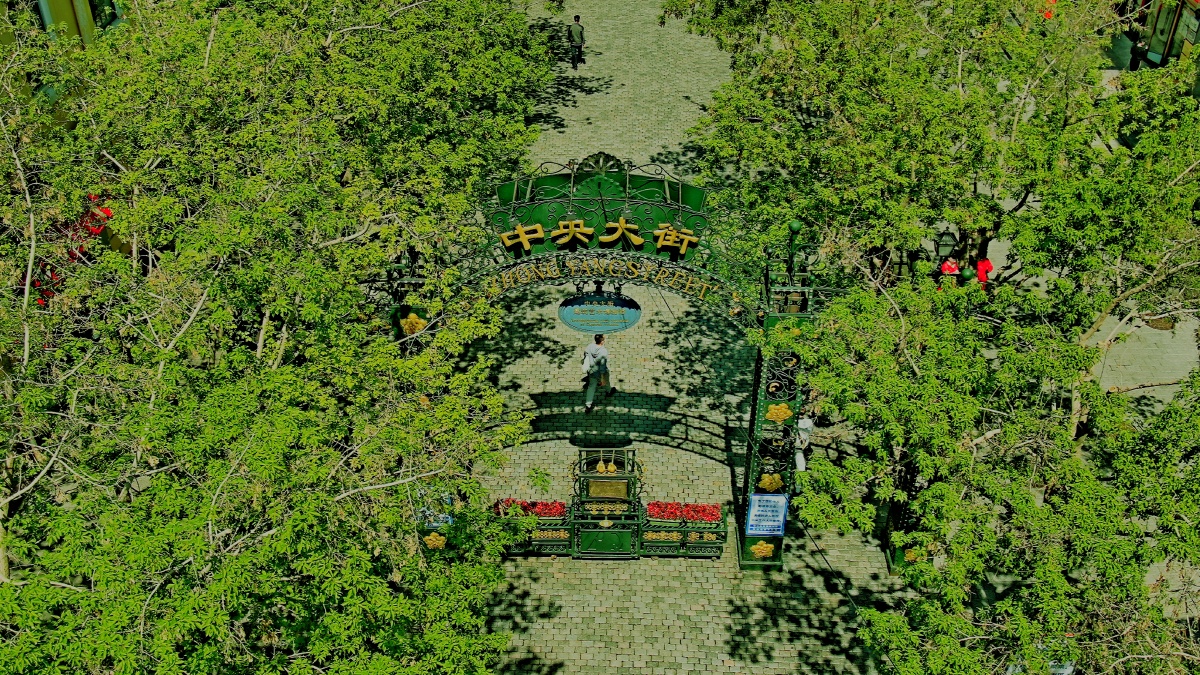 哈尔滨中央大街大家 - 航拍照片 - 图虫