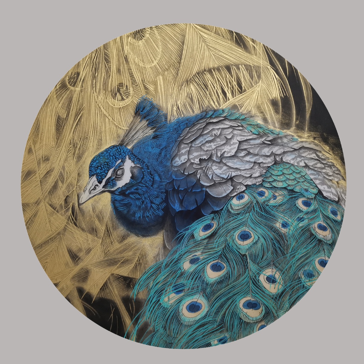 工笔画金孔雀