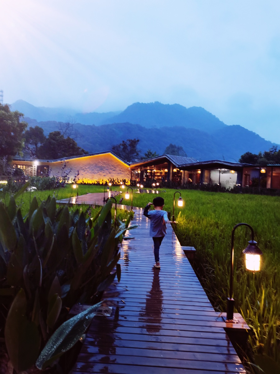 华灯初上稻田里的民宿