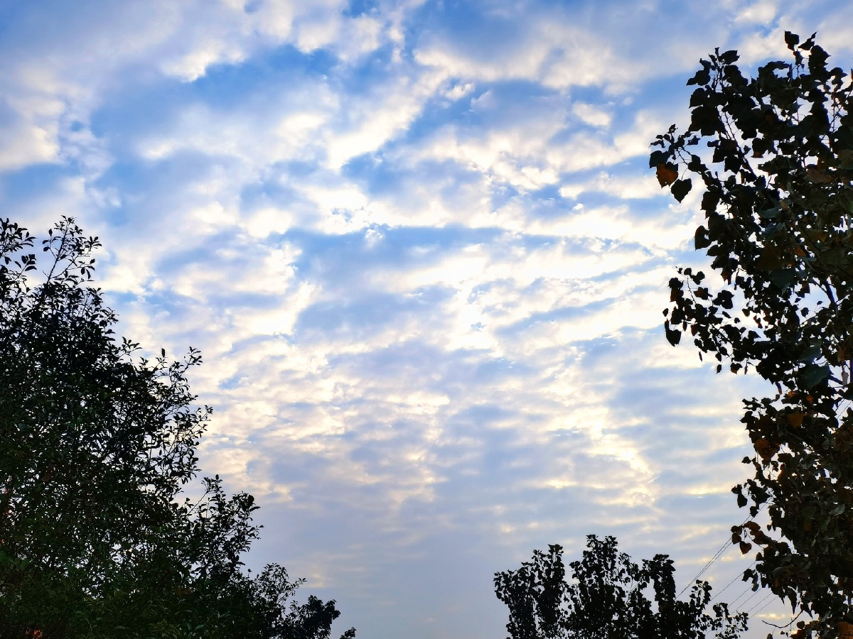 theweatherissunnytheairisfreshtheworldisgentleascleanclouds天气