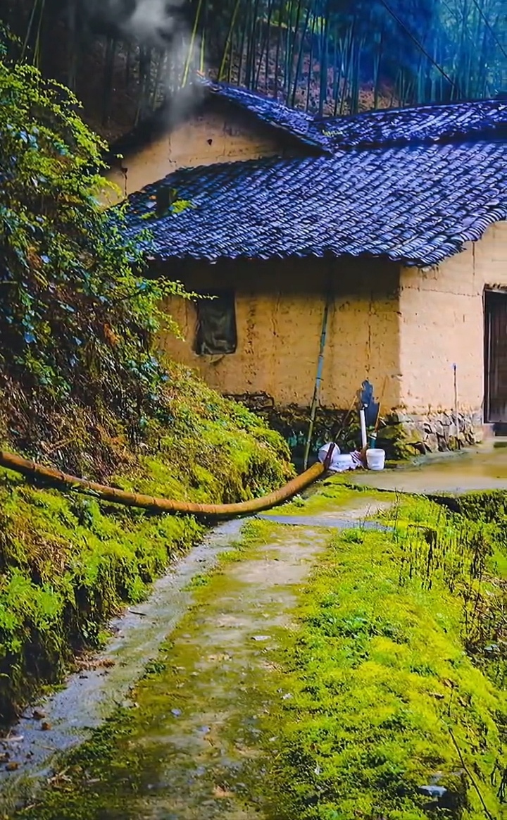 雨后的乡村气息