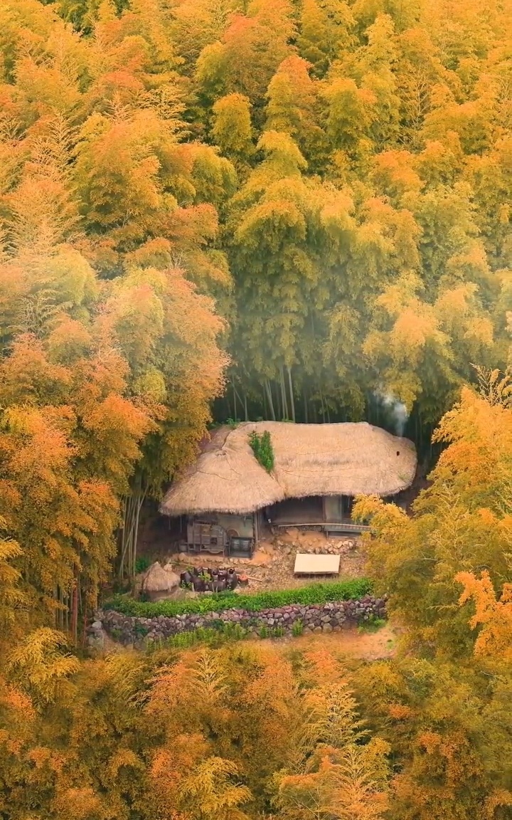 竹林深处有人家