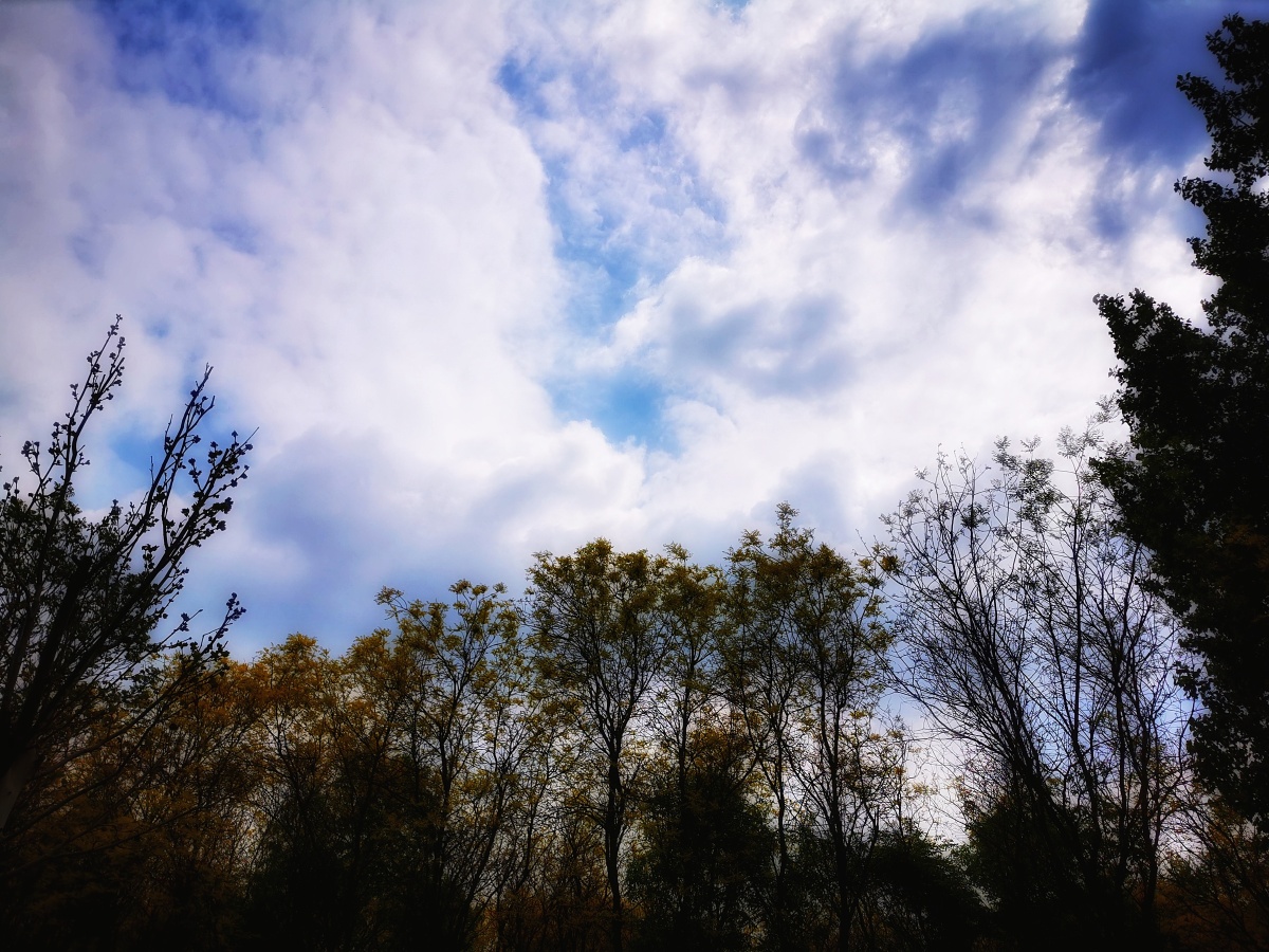 春天多云的天空