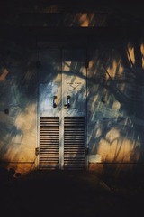 BAB95520-8808-4A8F-B432-749F864AA4DB/L0/001