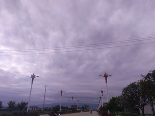 201