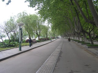 P4220261