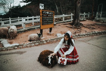 83131