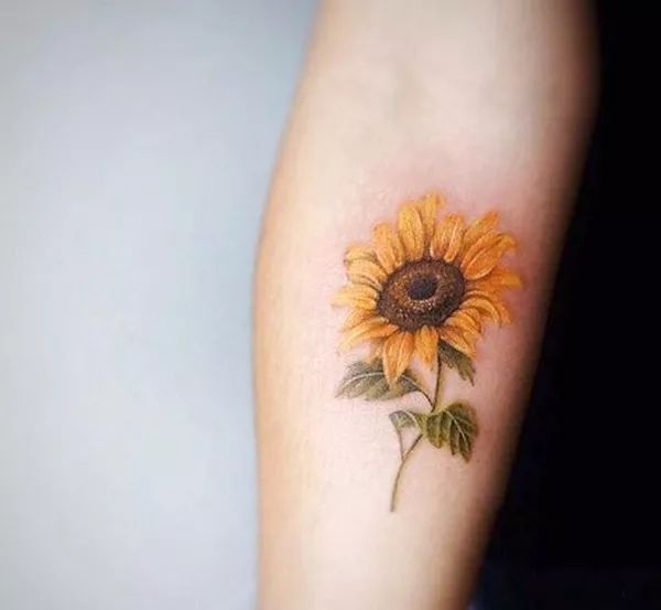向日葵纹身素材