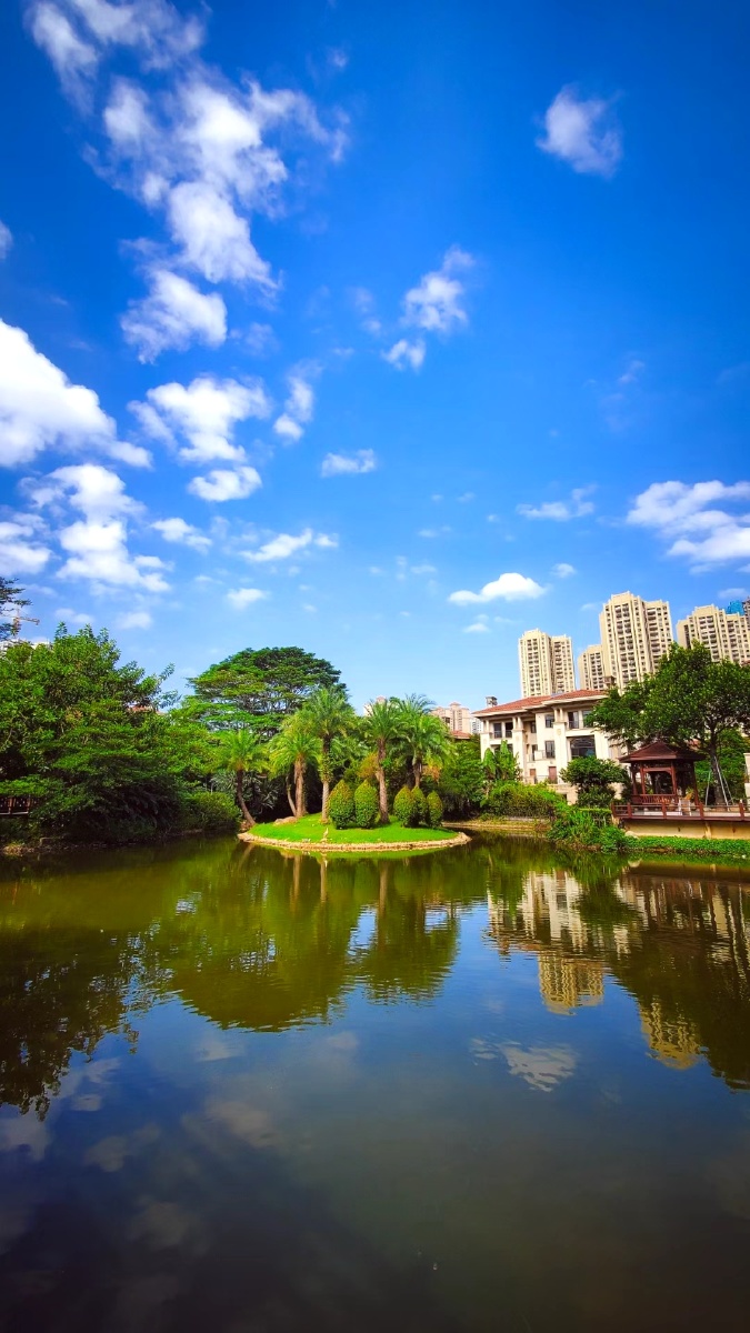 阳光正好微风不燥