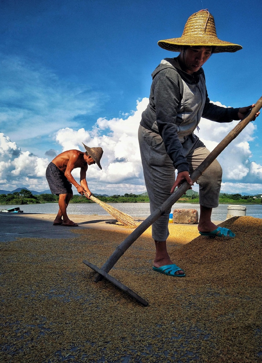 夫妇在晒谷场上劳动的情境.