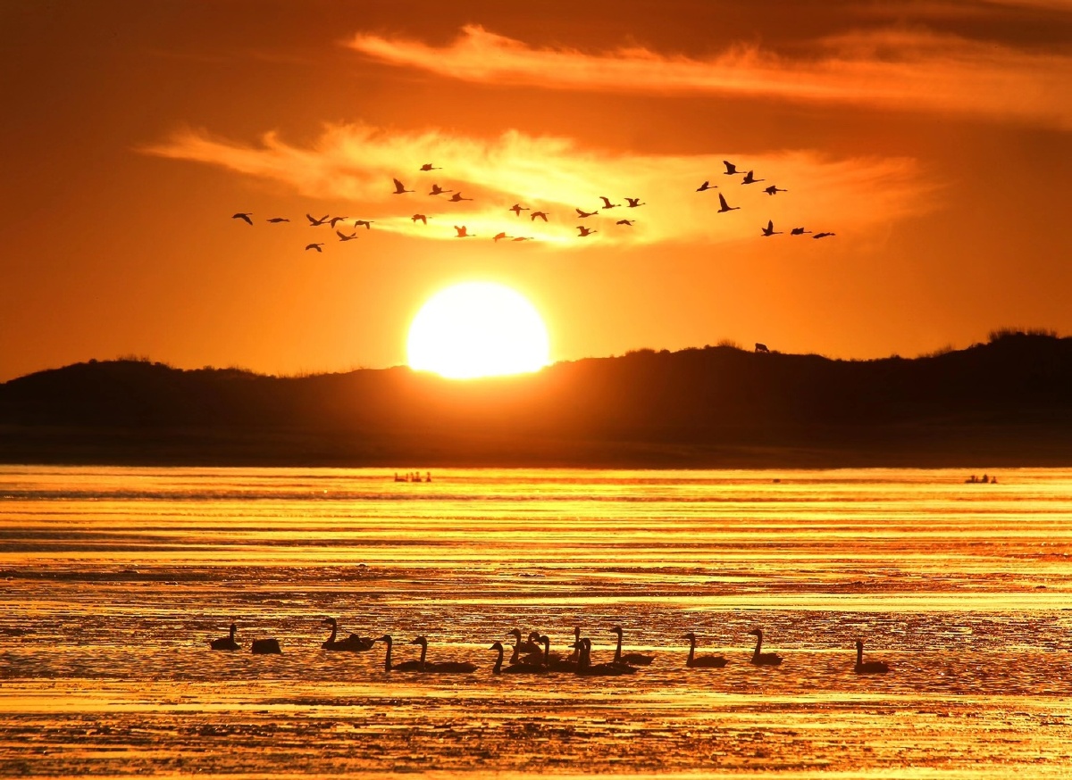 落霞与孤鹜齐飞,秋水共长天一色