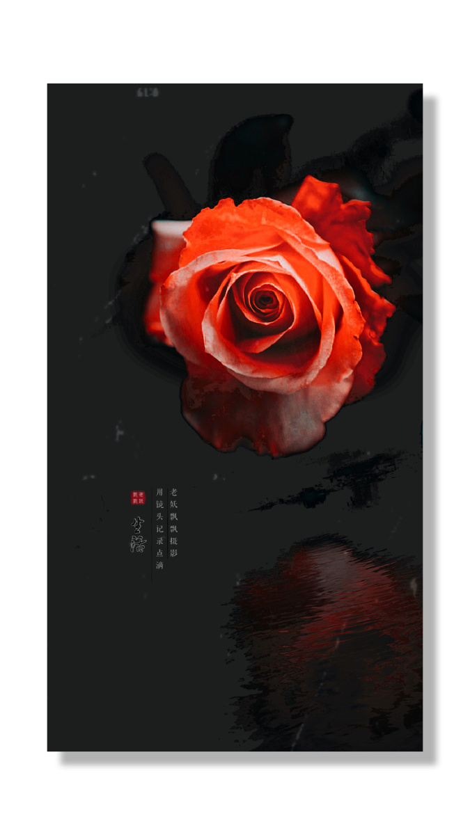 水墨玫瑰