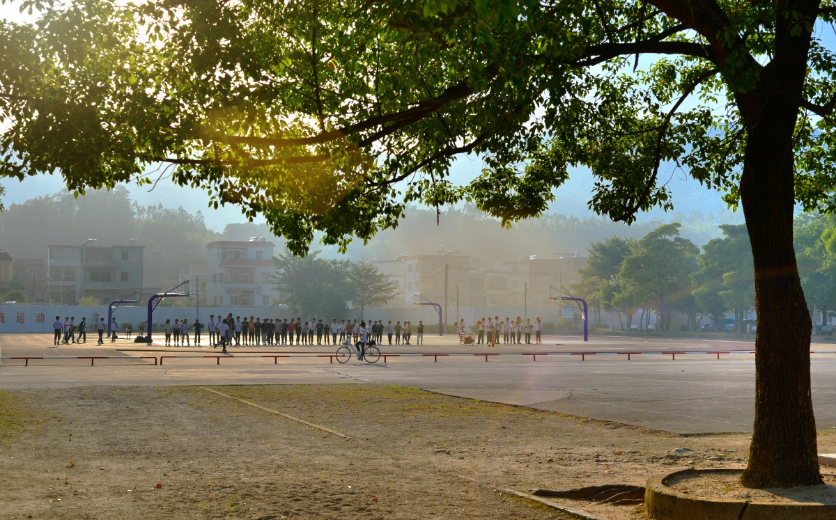 光影下的校园,这不就是我们的青春么