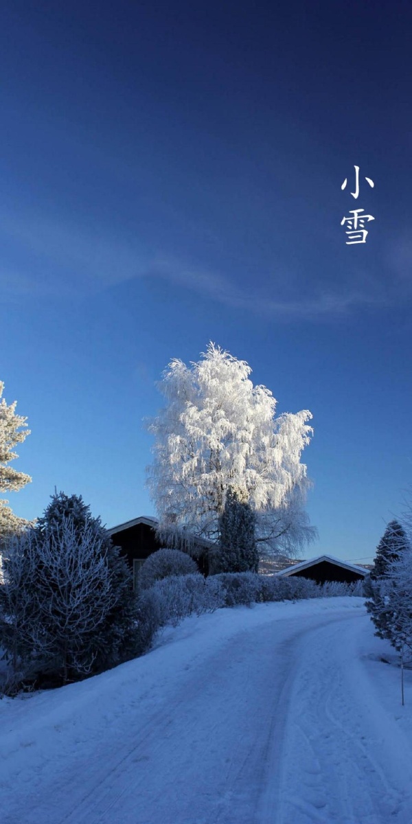 二十四节气小雪自然风光