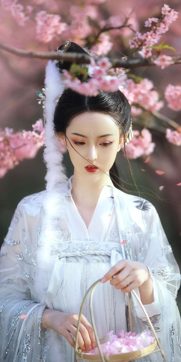 古风古装系美女图