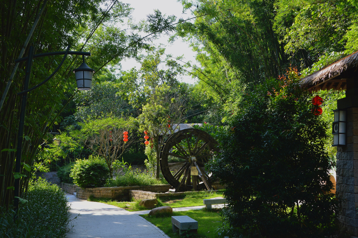 竹林公园信宜旺同公园