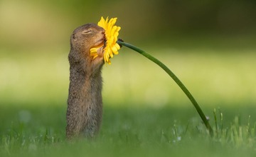 292077