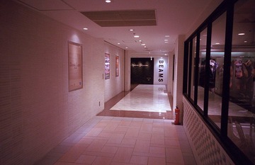 IMG7375.jpg