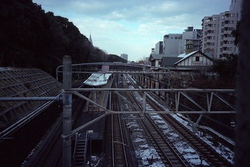 IMG7527.jpg