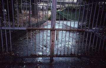 IMG7530.jpg
