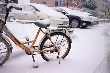 雪中自行车