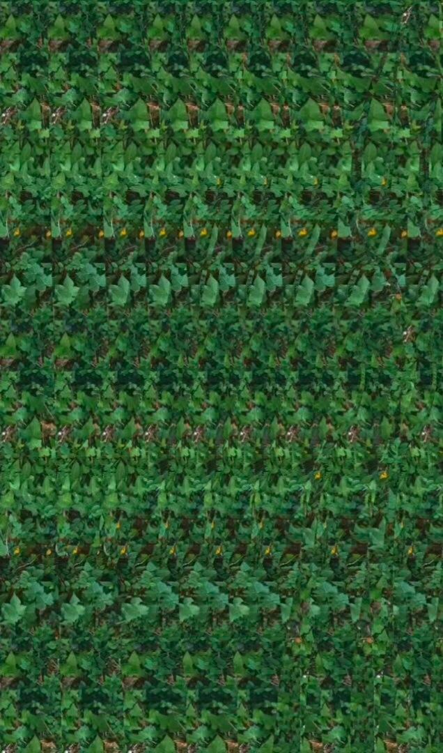 裸眼3d让你看到不一样的世界