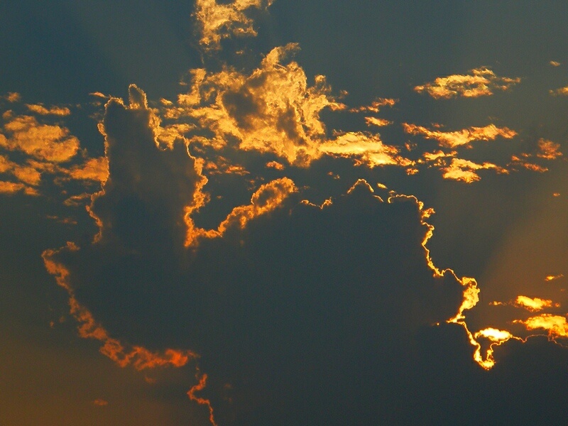 金边云画出的骆驼