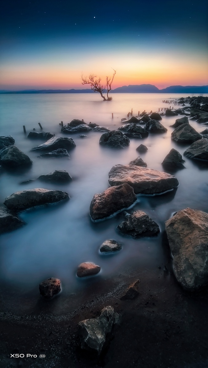 vivox50pro样片一组