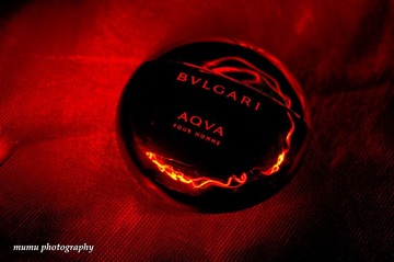 _DSC8128_blogz