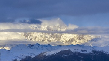 449223