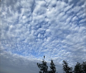 81685839-0F82-445C-8C9A-9E61800A61CA/L0/001